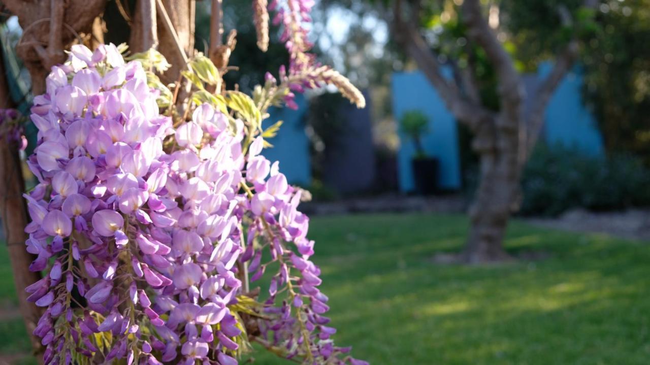 Loddon River Motel Kerang Buitenkant foto