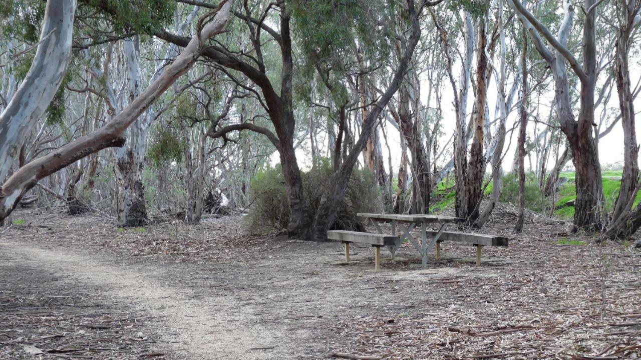 Loddon River Motel Kerang Buitenkant foto